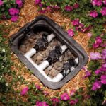 Best Sprinkler Valves Reviews