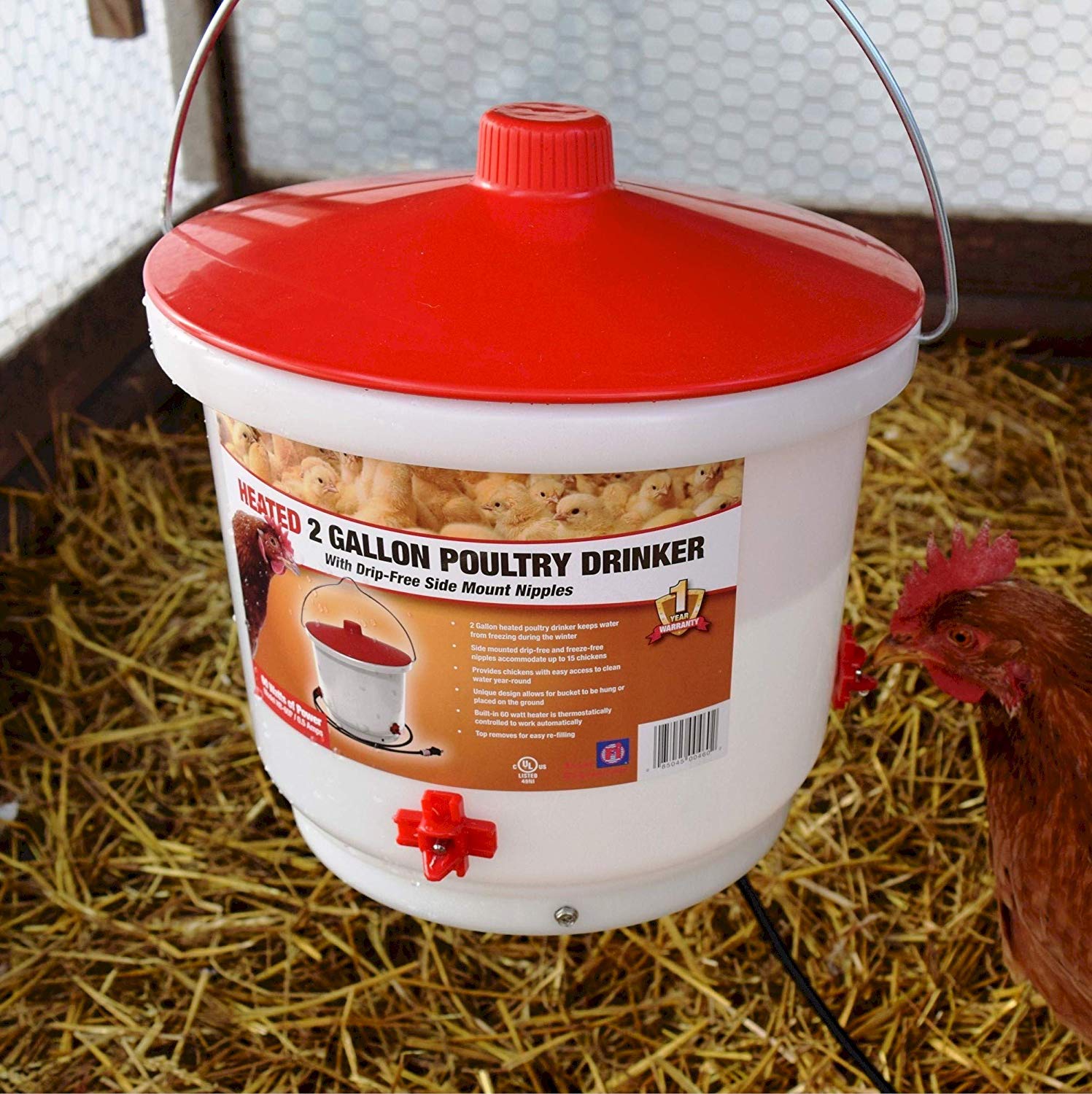 Farm Innovators HB 60P Heated 2 Gallon Poultry Drinker