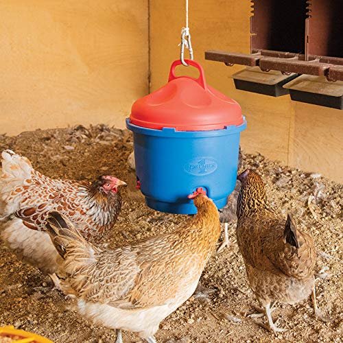 Premier Heated Poultry Waterer 3 Gallon