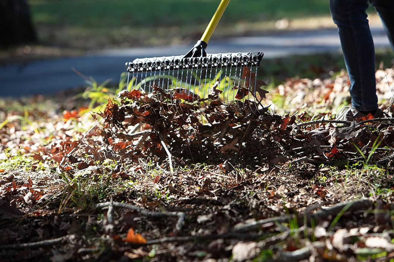 Best Dethatching Rakes